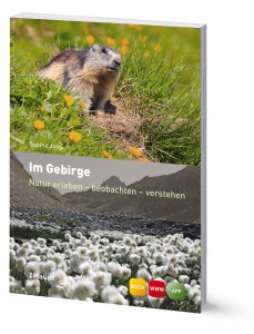 Im Gebirge